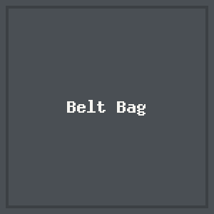 Belt Bag